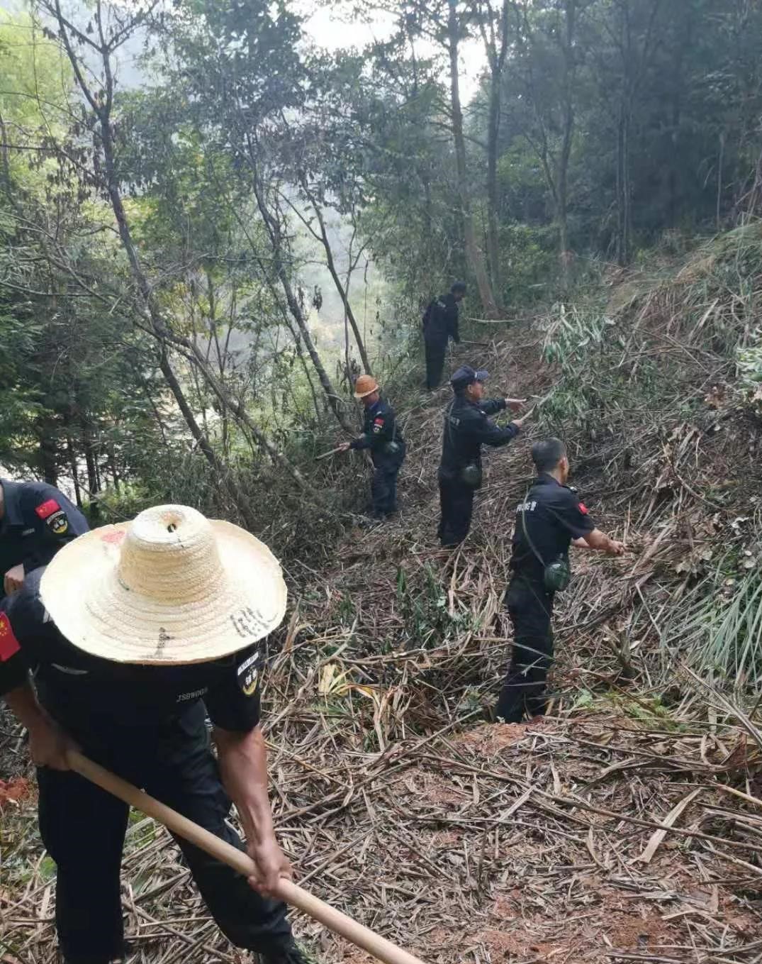 干好每一天|青山掛白我復(fù)綠，無私奉獻(xiàn)金森人——資源保護(hù)部義務(wù)突擊隊工作記實