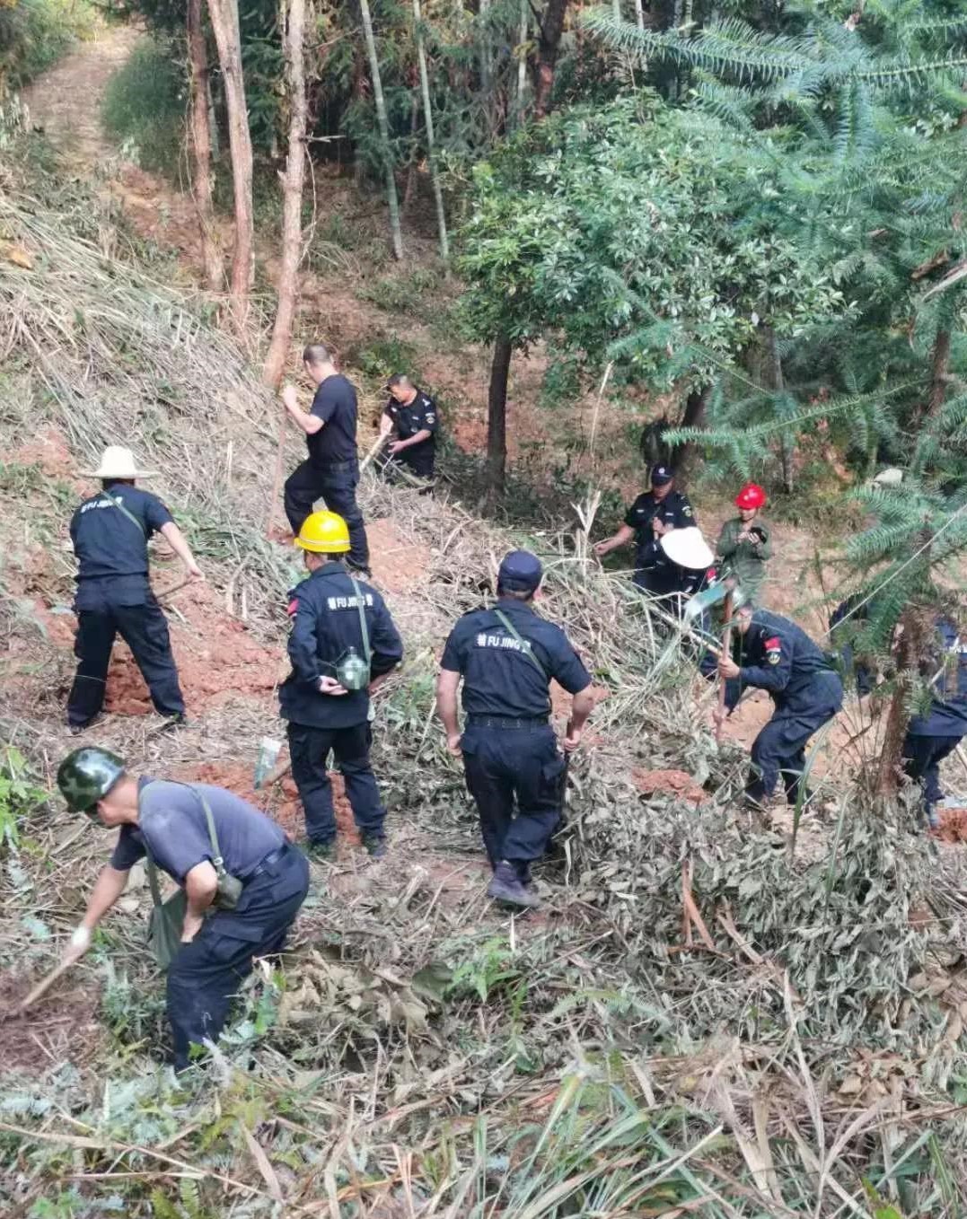 干好每一天|青山掛白我復(fù)綠，無私奉獻(xiàn)金森人——資源保護(hù)部義務(wù)突擊隊工作記實