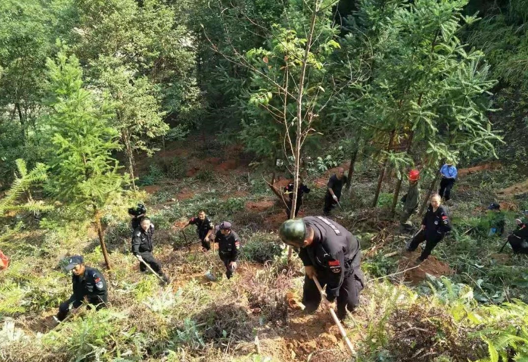 干好每一天|青山掛白我復(fù)綠，無私奉獻(xiàn)金森人——資源保護(hù)部義務(wù)突擊隊工作記實