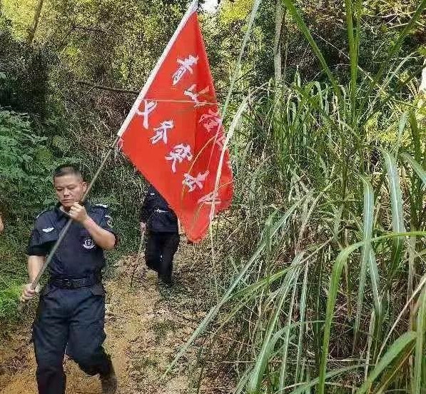 干好每一天|青山掛白我復(fù)綠，無私奉獻(xiàn)金森人——資源保護(hù)部義務(wù)突擊隊工作記實