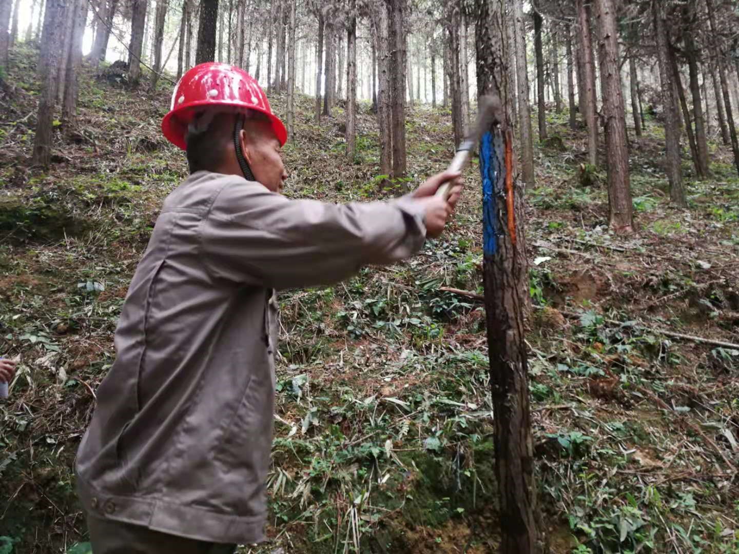 支部結對共建 促進黨建業(yè)務“雙提升”