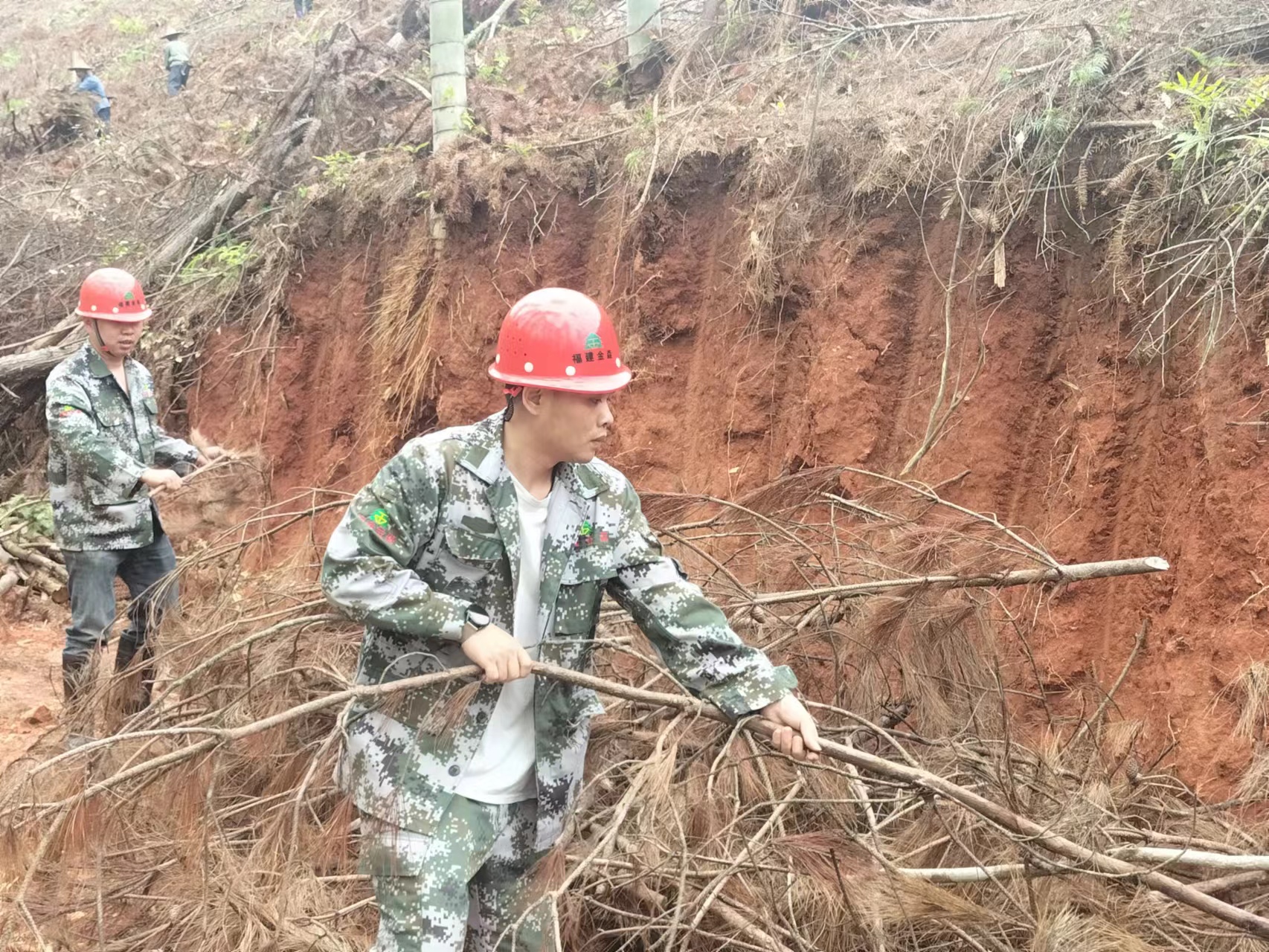  “百日鏖戰” 齊心協力譜寫產銷新篇 ----福建金森木材產銷百日攻堅行動